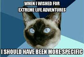 extreme life adventures